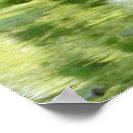 Grote blauwe haron in vijver poster (Hoek)