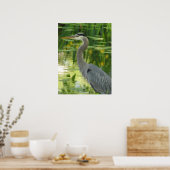 Grote blauwe haron in vijver poster (Keuken)