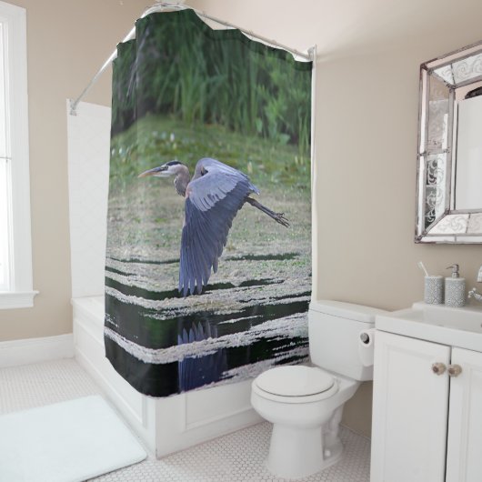 Grote blauwe haron in vlucht douchegordijn (In situ)