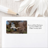 Grote blauwe haron in vlucht etiket (Insitu)