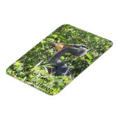 Grote blauwe haron, maaltijdmagneet magneet (Linkerzijde)