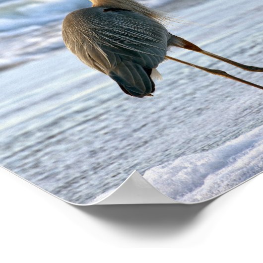 Grote blauwe haron op het strand poster (Hoek)