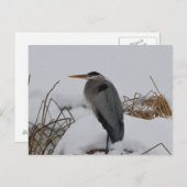 Grote blauwe herenwinter briefkaart (Voorkant / Achterkant)