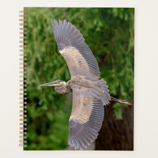 Grote Blauwe Heron 2024 Planner (Voorkant)