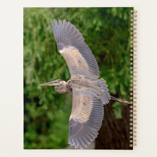 Grote Blauwe Heron 2024 Planner (Achterkant)