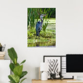 Grote Blauwe Heron bij de Pond Poster (Thuiskantoor)