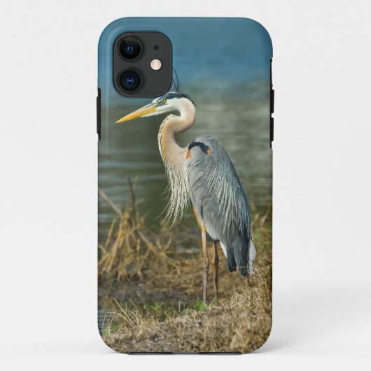 Grote Blauwe Heron bij het meer Case-Mate iPhone Case (Achterkant)