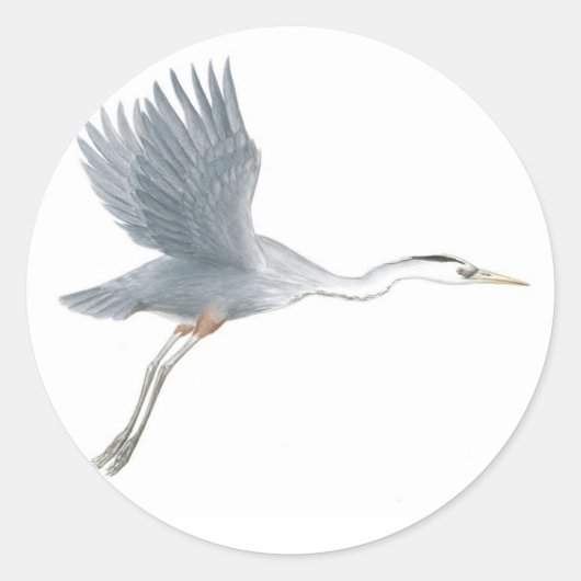 Grote Blauwe Heron die Sticker opstijgen (Voorkant)
