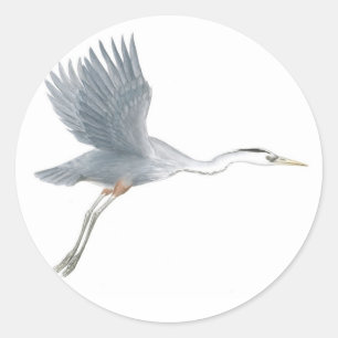 Grote Blauwe Heron die Sticker opstijgen