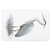 Grote Blauwe Heron Flexi Magnet Magneet (Horizontaal)