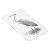 Grote Blauwe Heron Flexi Magnet Magneet (Rechterzijde)