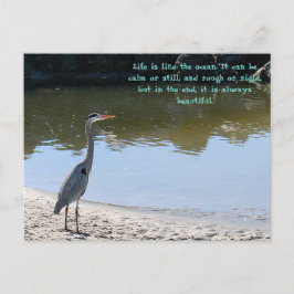 Grote Blauwe Heron Hilton Hoofd SC met Oceaan Briefkaart