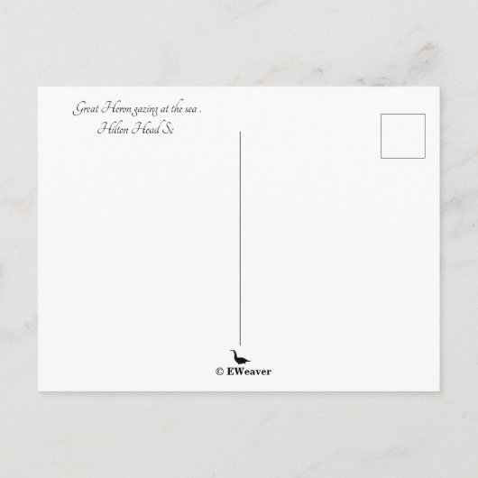 Grote Blauwe Heron Hilton Hoofd SC met Oceaan Briefkaart (Achterkant)