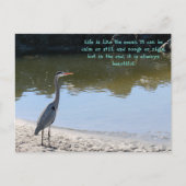 Grote Blauwe Heron Hilton Hoofd SC met Oceaan Briefkaart (Voorkant)