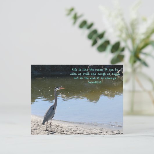 Grote Blauwe Heron Hilton Hoofd SC met Oceaan Briefkaart (Staand voorkant)