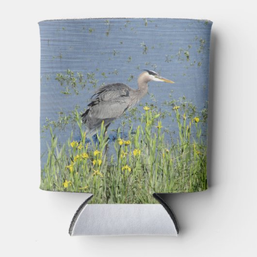 Grote Blauwe Heron in de rivier. Blikjeskoeler (Voorkant)