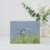 Grote Blauwe Heron in de rivier. Briefkaart (Staand voorkant)