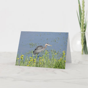 Grote Blauwe Heron in de rivier. Kaart