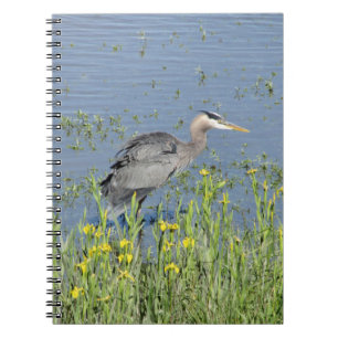 Grote Blauwe Heron in de rivier. Notitieboek