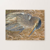 Grote Blauwe Heron in een Gebied van Golden Reeds Legpuzzel (Horizontaal)