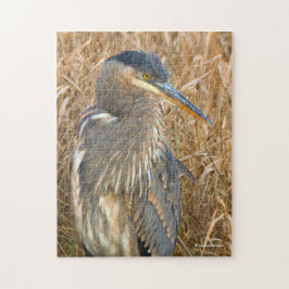 Grote Blauwe Heron in een Gebied van Golden Reeds Legpuzzel