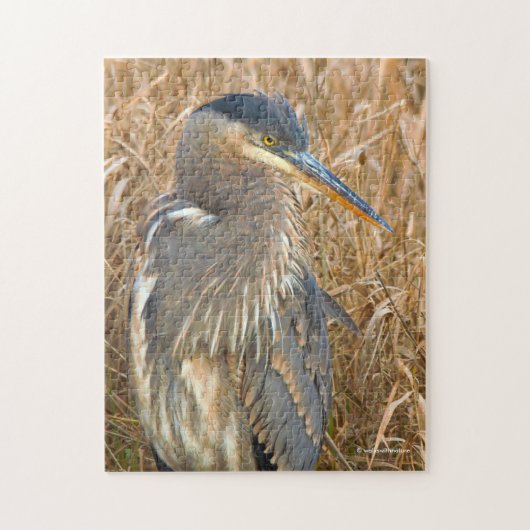 Grote Blauwe Heron in een Gebied van Golden Reeds Legpuzzel (Verticaal)