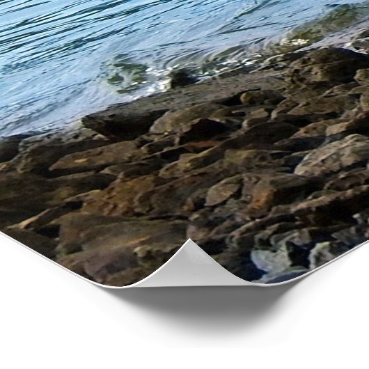 Grote Blauwe Heron in het water Poster (Hoek)