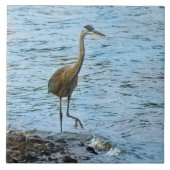 Grote Blauwe Heron in het water Tegeltje (Voorkant)