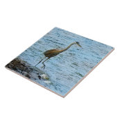 Grote Blauwe Heron in het water Tegeltje (Zijkant)