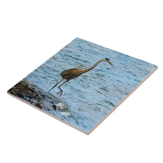 Grote Blauwe Heron in het water Tegeltje (Zijkant)