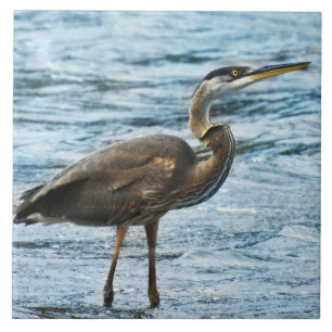 Grote Blauwe Heron in het water Tegeltje