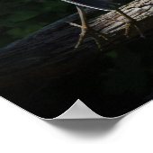 Grote Blauwe Heron in vlucht Poster (Hoek)