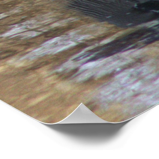 Grote Blauwe Heron in Water Poster (Hoek)