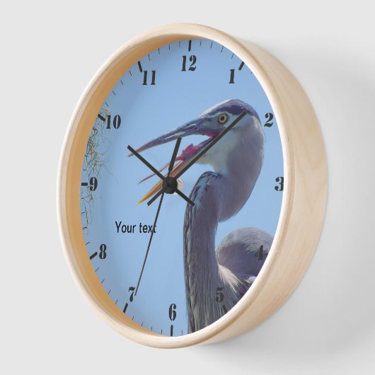 Grote Blauwe Heron met open mond (Hoek)