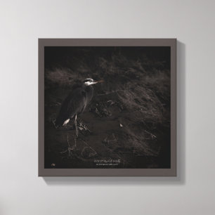 Grote Blauwe Heron P2391 Canvas Afdruk