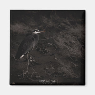 Grote Blauwe Heron P2391 Magneet