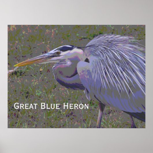 Grote Blauwe Heron-uitdaging Poster (Voorkant)