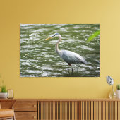 Grote Blauwe Heron Verpakte Canvas Print (Insitu (Woonkamer))