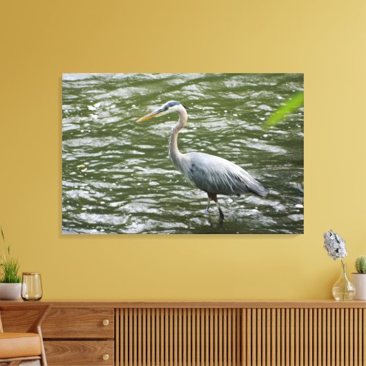 Grote Blauwe Heron Verpakte Canvas Print (Insitu (Woonkamer))
