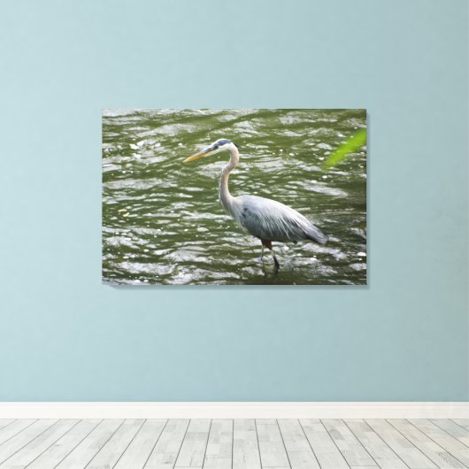 Grote Blauwe Heron Verpakte Canvas Print (Insitu (Houten vloer))