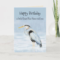 Grote Blauwe Heron Vogel Persoonlijkheid Leuke Ver
