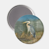 Grote Blauwe Heron Vogelmagneet Magneet (Voorkant / Achterkant)