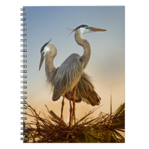 Grote Blauwe Herons op zonsopgang Notitieboek