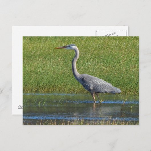 grote blauwe hert briefkaart (Voorkant / Achterkant)