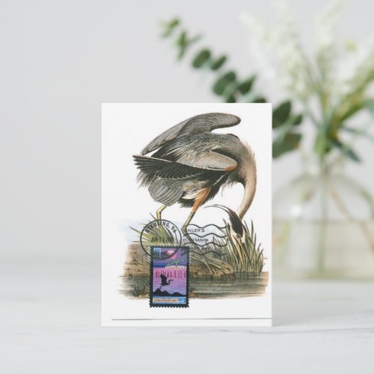 Grote blauwe kaart Audubon (Staand voorkant)