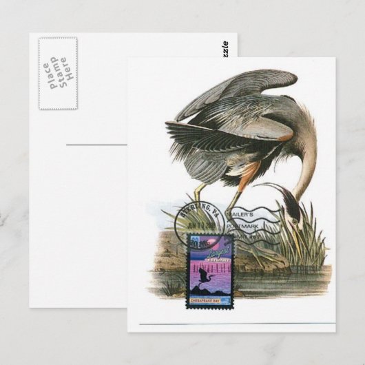 Grote blauwe kaart Audubon (Voorkant / Achterkant)