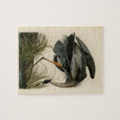 Grote blauwe konijnenvogels in Audubon Legpuzzel (Horizontaal)