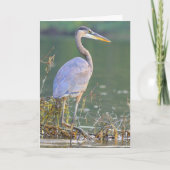 Grote blauwe Natuur Wildlife Birthday Kaart (Voorkant)