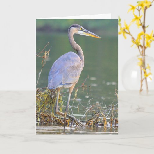 Grote blauwe Natuur Wildlife Birthday Kaart (Gele Bloem)