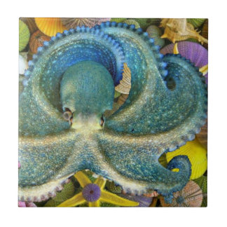 Grote blauwe octopustegel tegeltje
